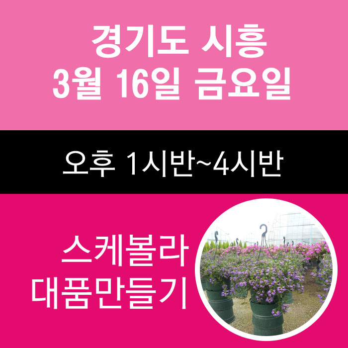 시흥클래스-3월16일 금요일 스케볼라 대품만들기