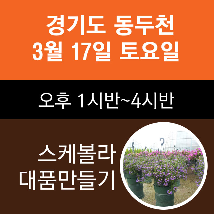 동두천클래스-3월17일 금요일 스케볼라 대품만들기